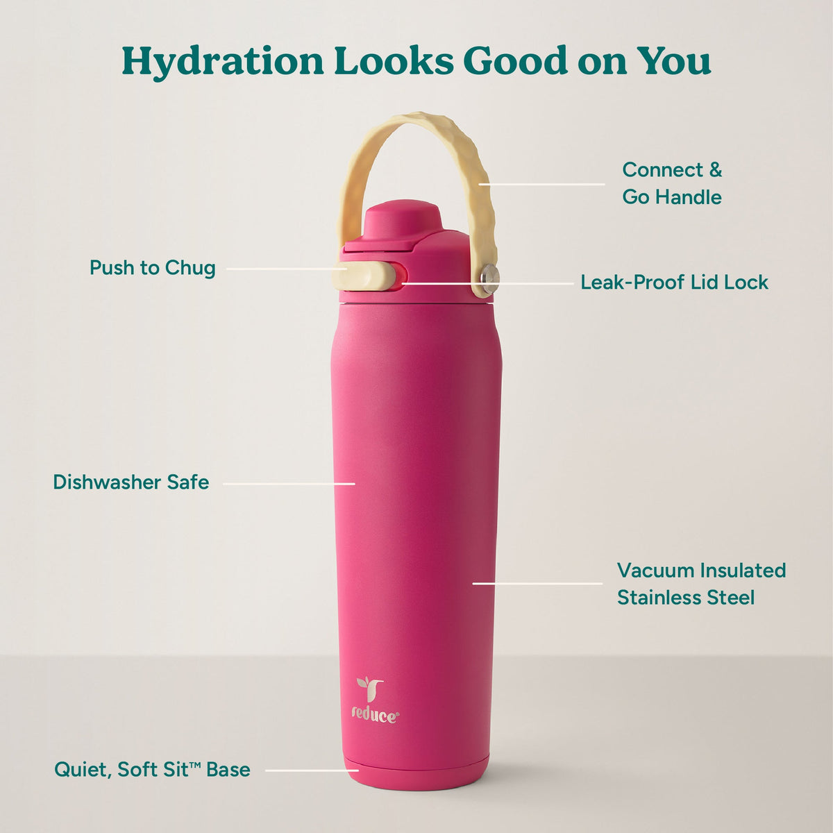 aura-26-oz-d8 Aura_26oz_DragonFruit_PDP_Infographic_2-03.jpg