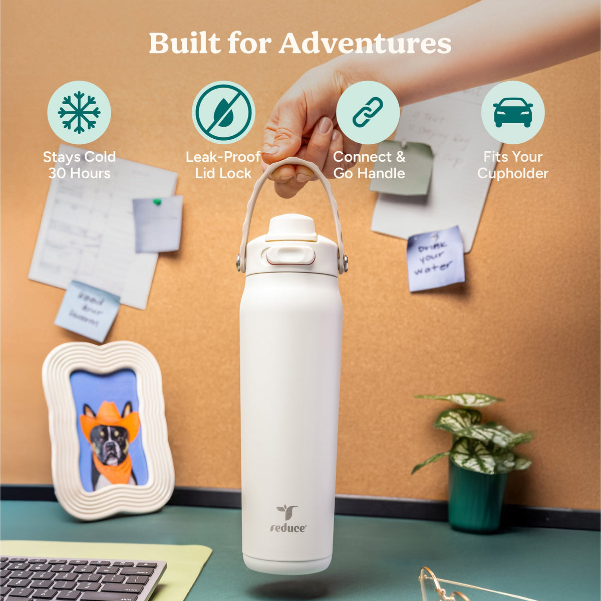 aura-26-oz-d8 Aura_26oz_Unbleached_PDP_Infographic_1.jpg
