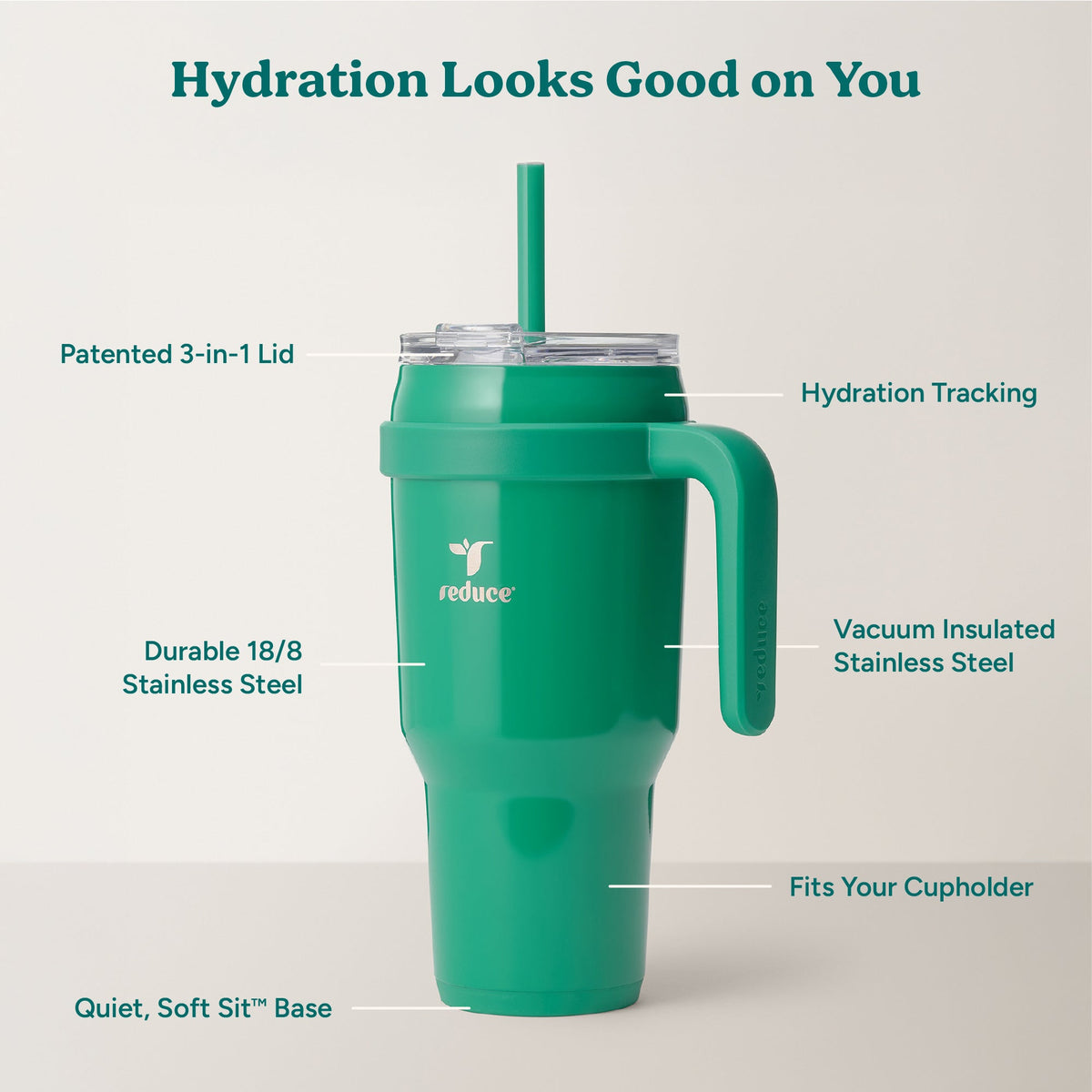 cold1-40-oz-i8 Cold1_40oz_PalmLeaf_Infographic_2.jpg