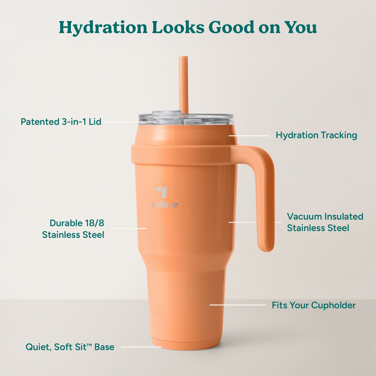 cold1-40-oz-i8 Cold1_40oz_Papaya_Infographic_2.jpg